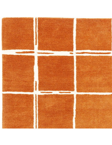 Elevate your home with the Albany Grid Rust, a modern designer rug featuring a warm rust hue and geometric pattern for stylish,