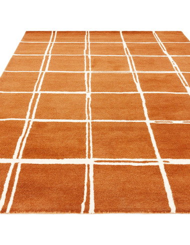 Elevate your home with the Albany Grid Rust, a modern designer rug featuring a warm rust hue and geometric pattern for stylish,