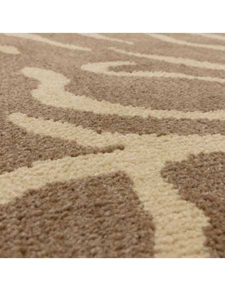 Tappeto Wilder Tiger Taupe: design moderno e fantasia zebrata per un soggiorno elegante e contemporaneo. Comfort e stile in ogn