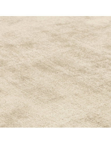 Tappeto minimal in viscosa naturale con cornice geometrica verde salvia, elegante e versatile, perfetto per ambienti moderni e