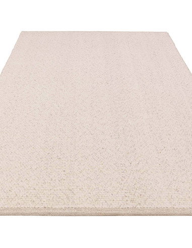 Elevate your space with the Finley Ivory Marl rug, a durable and soft minimalist rug perfect for adding warmth and subtle textu