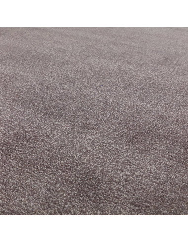 Tappeto Rise Charcoal: eleganza e comfort in un design tinta unita, perfetto per ambienti minimal e raffinati. Morbido, resiste