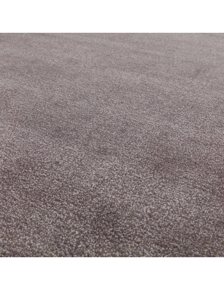 Tappeto Rise Charcoal: eleganza e comfort in un design tinta unita, perfetto per ambienti minimal e raffinati. Morbido, resiste