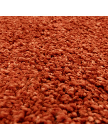 Add vibrant warmth and plush comfort to any room with the durable, easy-care Atlas Orange shaggy rug—perfect for stylish, cozy