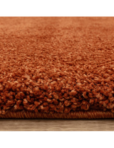 Add vibrant warmth and plush comfort to any room with the durable, easy-care Atlas Orange shaggy rug—perfect for stylish, cozy