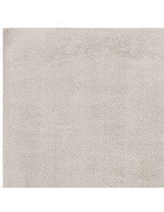 Tappeto Como Silver: eleganza e comfort con pelo lungo soffice, perfetto per ambienti moderni. Facile da pulire e disponibile i 2