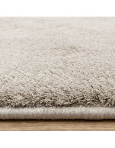 Tappeto Como Silver: eleganza e comfort con pelo lungo soffice, perfetto per ambienti moderni. Facile da pulire e disponibile i