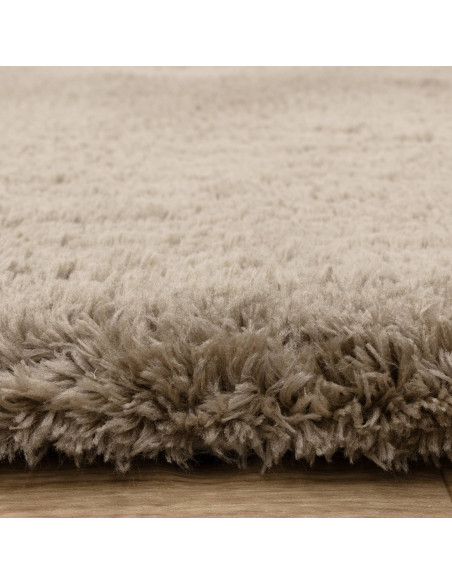 Experience luxurious softness and durability with the Opulence Taupe shaggy rug, perfect for adding warmth and style to any mod