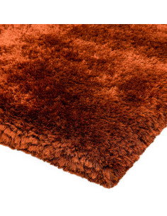 Tappeto Plush Rust a pelo lungo, morbido e caldo, perfetto per ogni ambiente. Design artigianale e colori avvolgenti per un com 2