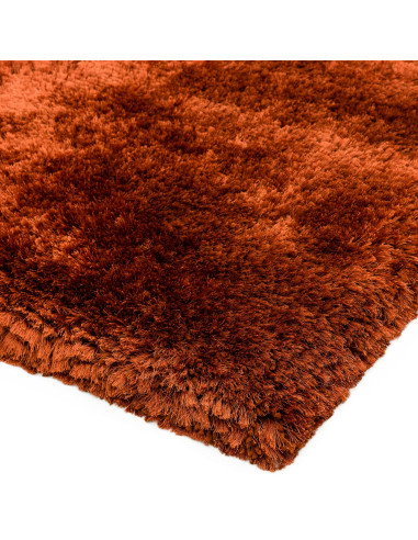 Add warmth and luxury to any room with the Plush Rust shaggy rug—soft, durable, and hand-made for lasting comfort and style.