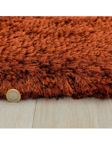 Add warmth and luxury to any room with the Plush Rust shaggy rug—soft, durable, and hand-made for lasting comfort and style.
