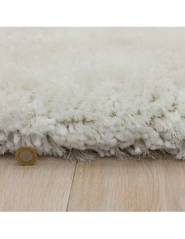 Experience ultimate comfort and style with the Plush White shaggy rug—soft, durable, and perfect for adding elegance to any roo