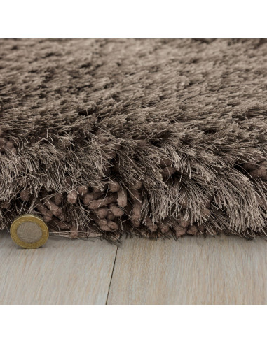 Tappeto shaggy Plush Zinc a pelo lungo, morbido e resistente, perfetto per un ambiente elegante e accogliente con design tinta