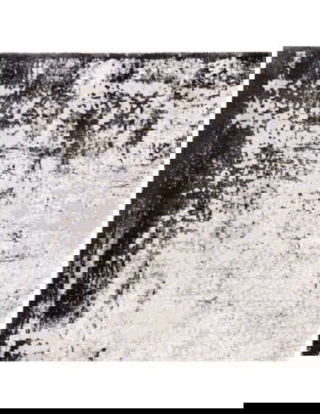 Discover the Kuza Border Grey rug, a modern luxury rug with a subtle silk look, blending durability and elegant shine for any s