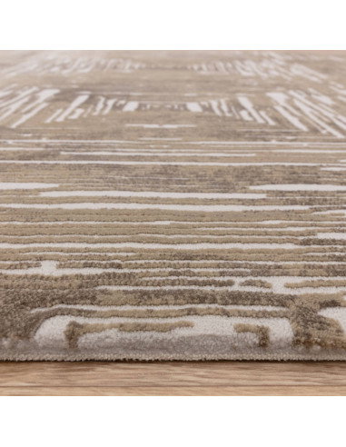 Discover the Kuza Portrait Beige rug, a modern luxury rug with a silk look finish and geometric stripes for stylish, durable el