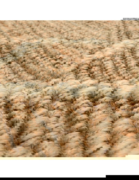 Tappeto Souk Natural & Blonde in juta naturale, design geometrico berbero, ideale per soggiorno, resistente, ecologico e facile