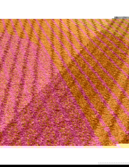 Tappeto Muse Orange Retro MU13: design moderno e colori vivaci per un soggiorno unico. Perfetto tra i tappeti moderni soggiorno