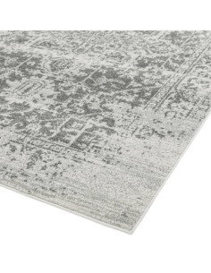 Nova NV10 Antique Grey: tappeto moderno soggiorno con design persiano, spessore 1.2 cm, resistente e facile da mantenere, per u 2