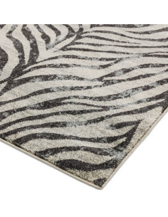Tappeto Nova NV27 Zebra Grey: design moderno e fantasia zebrata per un soggiorno elegante e pratico. Perfetto tra i tappeti mod 2