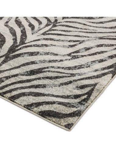 Tappeto Nova NV27 Zebra Grey: design moderno e fantasia zebrata per un soggiorno elegante e pratico. Perfetto tra i tappeti mod