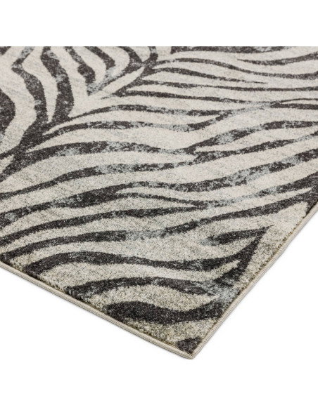 Elevate your space with the Nova NV27 Zebra Grey, a stylish modern area rug featuring a bold zebra pattern and easy-care polypr