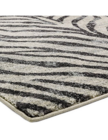 Elevate your space with the Nova NV27 Zebra Grey, a stylish modern area rug featuring a bold zebra pattern and easy-care polypr