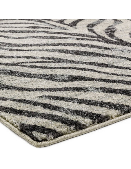 Elevate your space with the Nova NV27 Zebra Grey, a stylish modern area rug featuring a bold zebra pattern and easy-care polypr