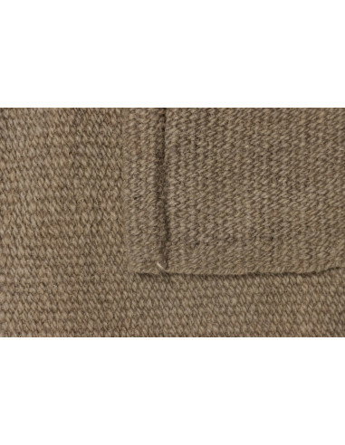 Kilim 200x295 Cm Kilim Persiano Tessitura Piana Lana Beige