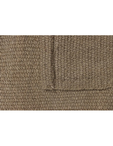 Kilim 200x295 Cm Kilim Persiano Tessitura Piana Lana Beige
