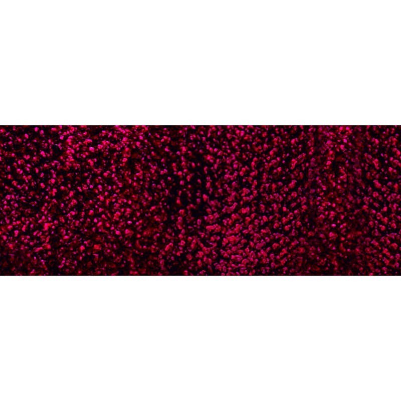 RUG MISSONI NIRSA T28 CM.200X300