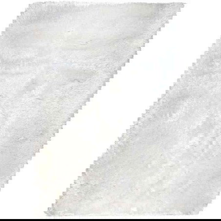 tappeto Ligne Pure tappeto ADORE 207.001.100