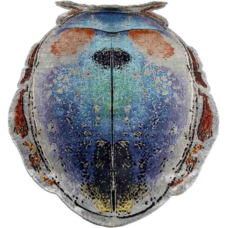 Tappeto Sitap Scarabeo