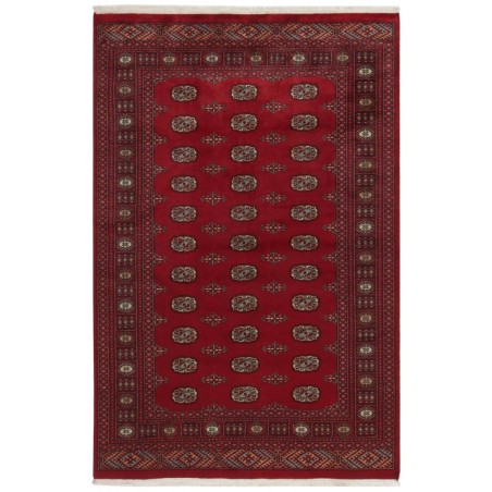 103427 tappeto pakistan bokhara cm 167x255
