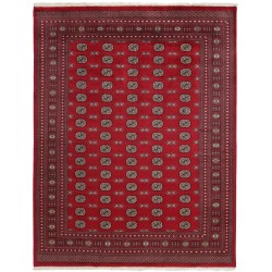 103445 tappeto pakistan bokhara cm 248x310