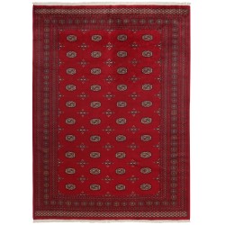 103446 tappeto pakistan bokhara cm 242x317