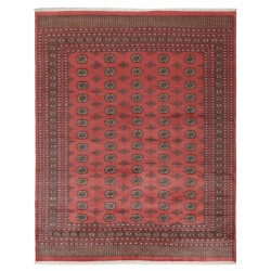 103452 tappeto pakistan bokhara cm 248x306