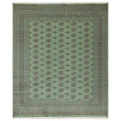 103453 tappeto pakistan bokhara cm 254x301