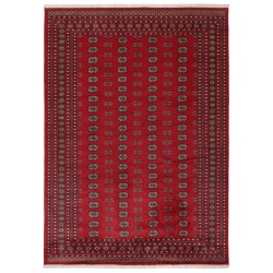 103455 tappeto pakistan bokhara cm 246x334