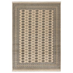 103456 tappeto pakistan bokhara cm 246x349