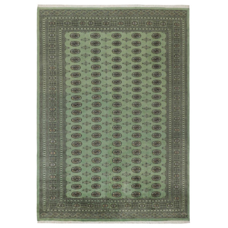 103457 tappeto pakistan bokhara cm 244x338
