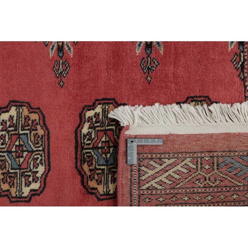 tappeto pakistan bokhara cm.79x479