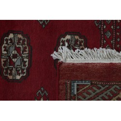 103427 tappeto pakistan bokhara cm 167x255 2