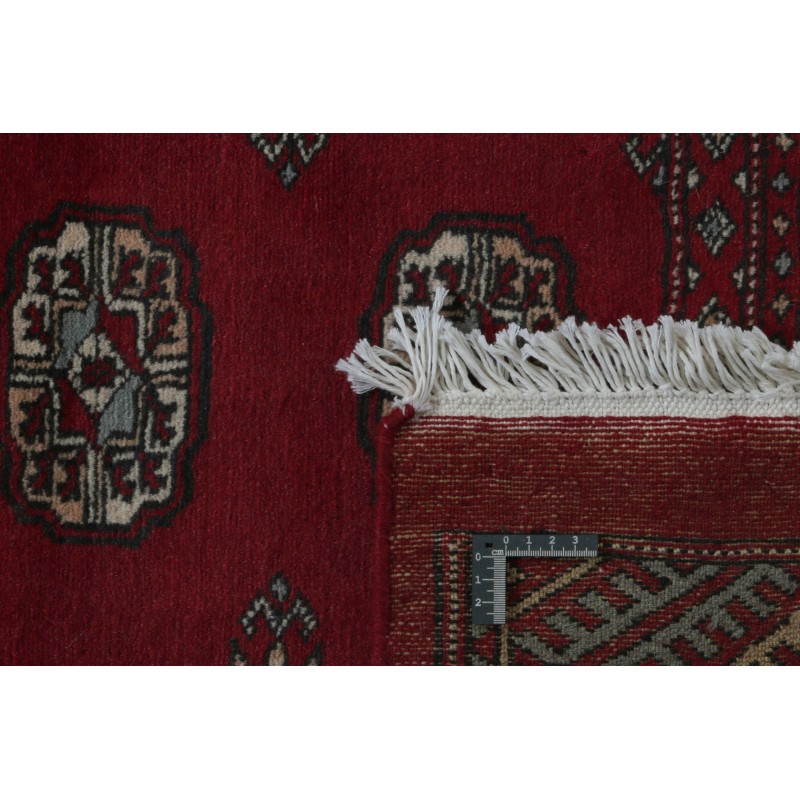 tappeto pakistan bokhara cm.167x255
