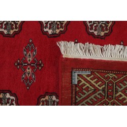 103447 tappeto pakistan bokhara cm 245x308 2
