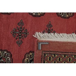 103452 tappeto pakistan bokhara cm 248x306 2