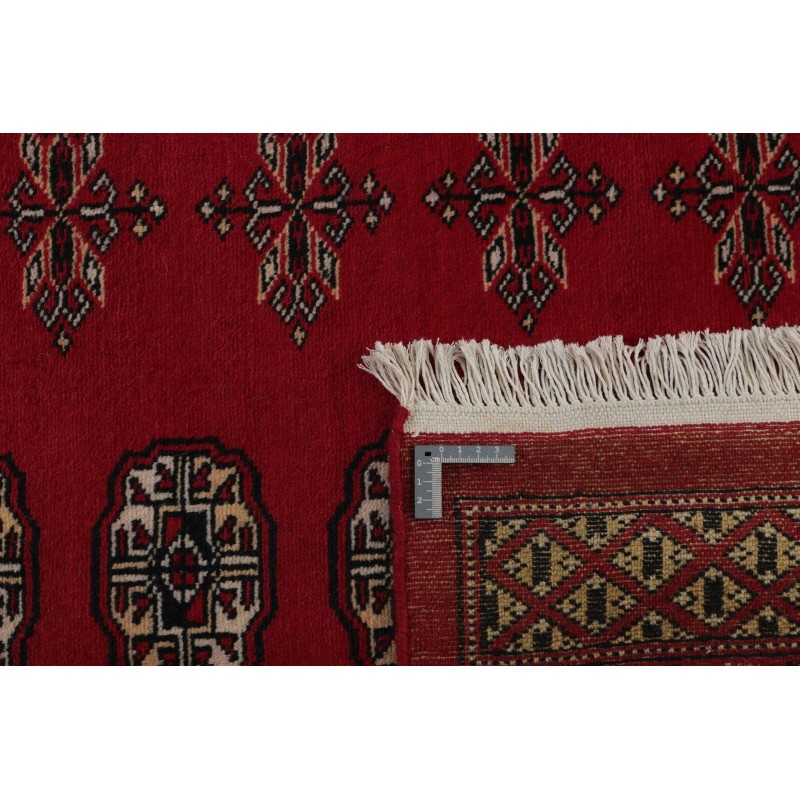 tappeto pakistan bokhara cm.246x334