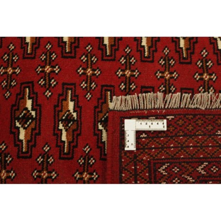 tappeto persia torkaman cm.158x235